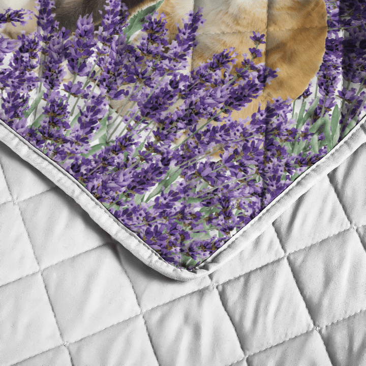 Boder-Collie-Yorkie-Cats-Quilt-Bedding-Set-2