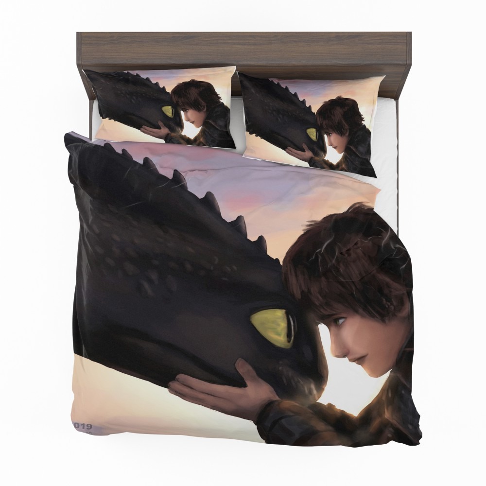 How-To-Train-Your-Dragon-Movie-Hiccup-Toothless-Bedding-Set-1