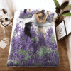 Labrador Lavender Quilt Bedding Set- Limited Edition