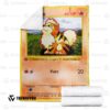 Pokemon Growlithe 1St Edition Bedding Set And Quilt Blanket